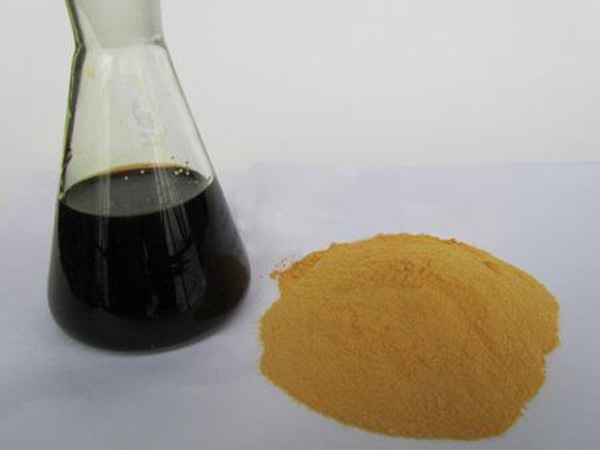 �ۺ�������